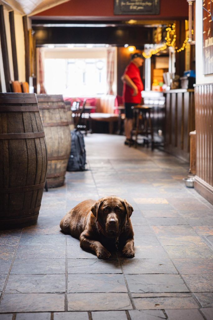 The Kings Arms is a Dog Friendly Pub