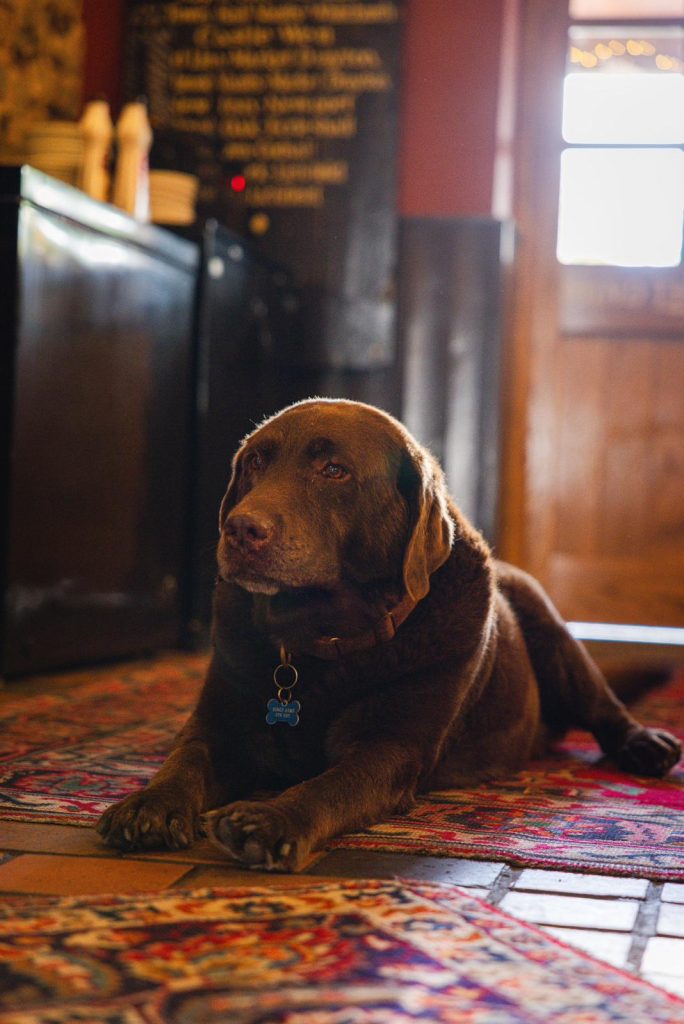 The Kings Arms is a Dog Friendly Pub